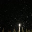 화정양화 이미지