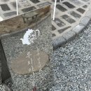 루치아 | [공주 제민천 한옥 카페] 루치아의 뜰 후기