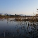 시종터미널 이미지