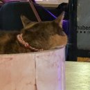 (주)지핌 이미지