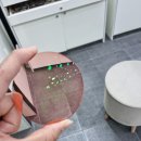 마나나안경원 이미지