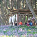 동백코스(서천-군산) 이미지