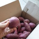 대림농산 이미지