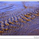 동곡농장 이미지