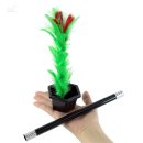 공연초교 이미지