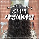 수헤어샵 | [공지] 서울 히피펌 3대성지 공덕역 | 지영헤어샵 내돈내산 후기 (+9개월차 유지력 후기)