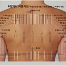 이경 메디칼 Daum카페