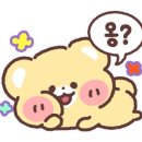 순천돌짜장 이미지