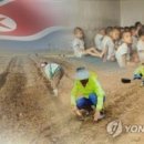 삼대전가