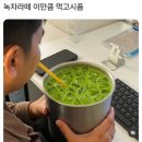 보문약국 | 🌼4월 일상