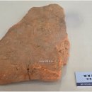 순천대학교박물관 이미지