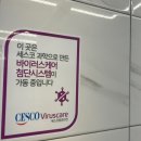 팀스톤