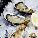 천북2 | 굴 제철 시기 언제? 천북 굴, 통영 굴 차이 맛비교