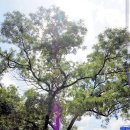 강학2리 이미지