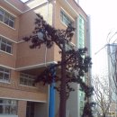 원신흥초등학교 이미지