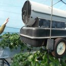 꼴짝농장 이미지