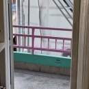 샵:플랜트+팟 | 샵:플랜트 팟