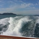 녹동농장 이미지