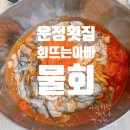 가온로 | 해산물 물회 한입으로 감동, 운정 숙성회 포장 &#34;회뜨는아빠&#34; 솔직후기