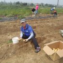 일동자원 이미지