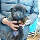 인월동물병원 이미지