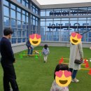 도그유토피아 더펜트 이미지