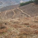 황재농장 이미지