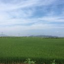 서검낚시터 이미지