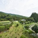 한적한 家 이미지