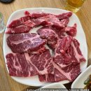 한돈소