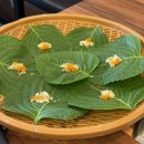 이고집쭈꾸미 이미지