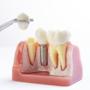 포도나무치과의원 이미지