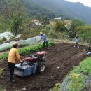 손자농장 이미지