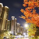 일산동구청(중) 이미지