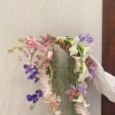 테이블푸드 이미지