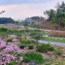 도곡2리마을회관 이미지