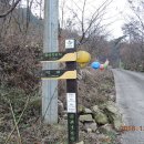 중앙동113 이미지