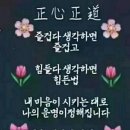 기침에 좋은 것 이미지