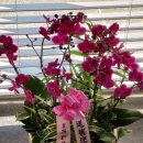 경춘로 1286 이미지