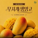 더 샤브데이 네이버블로그