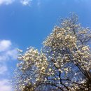 새절역2번출구 이미지