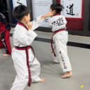 맹호태권도장 이미지