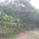 광산구-011 이미지