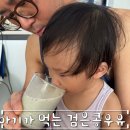 아이보리 까망콩파우더, 아기가 먹을 수 있는 검은콩우유
