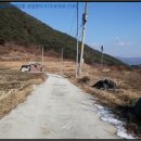 병곡면사무소 네이버블로그