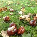 4공주농장 이미지