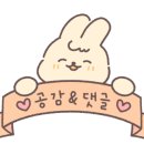 슬로우캘리송도점 이미지