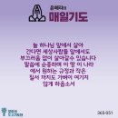 매일365