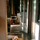 외돌개 나라 이미지