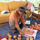 일등농장 이미지